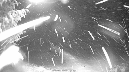 Image from 2024-12-08