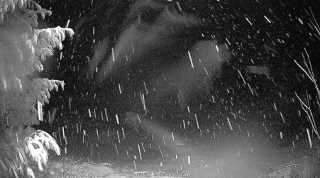 Image from 2024-12-08