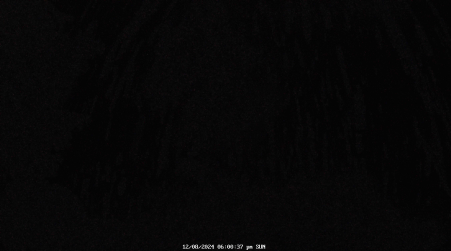 Image from 2024-12-08