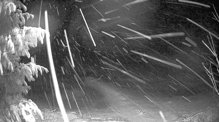 Image from 2024-12-08