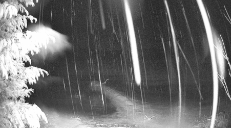 Image from 2024-12-08
