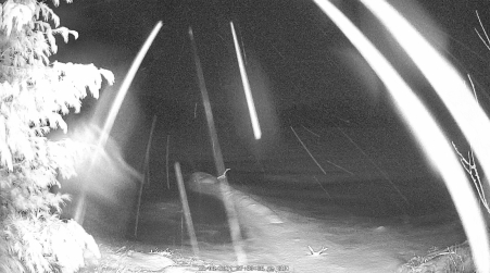 Image from 2024-12-08
