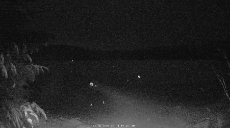 Image from 2024-12-08