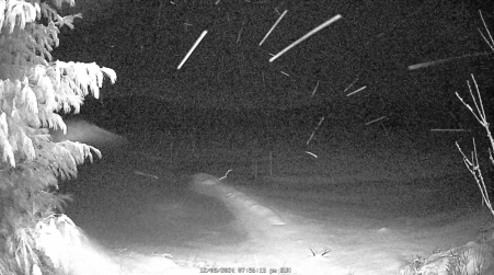 Image from 2024-12-08