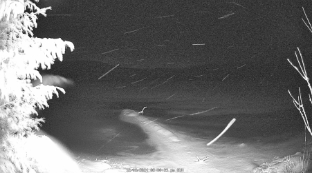 Image from 2024-12-08