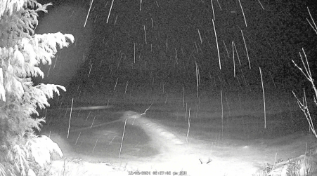 Image from 2024-12-08