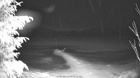 Image from 2024-12-08