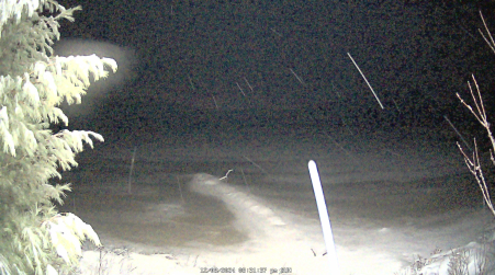 Image from 2024-12-08