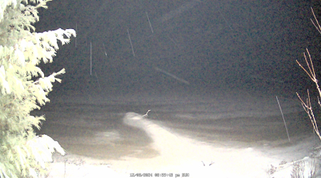 Image from 2024-12-08