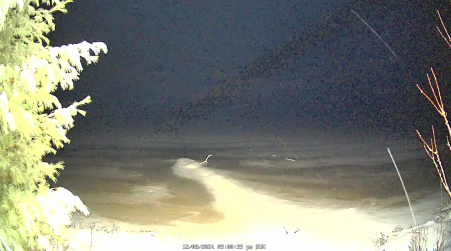 Image from 2024-12-08
