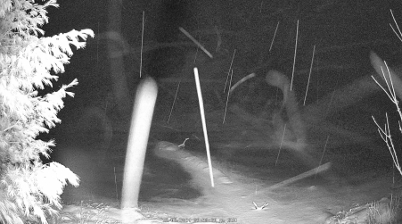 Image from 2024-12-08