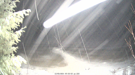 Image from 2024-12-08