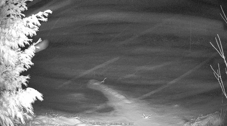 Image from 2024-12-08