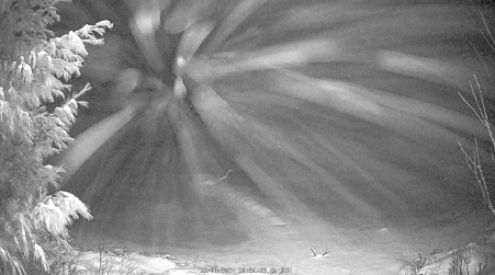 Image from 2024-12-08