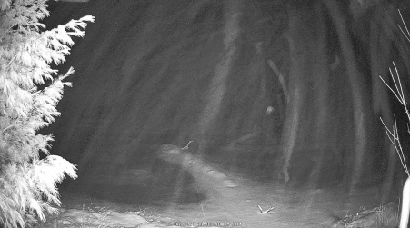 Image from 2024-12-08