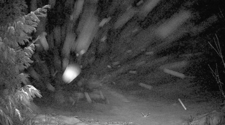 Image from 2024-12-08