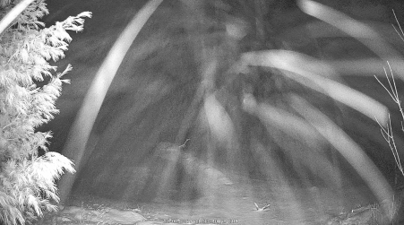 Image from 2024-12-08