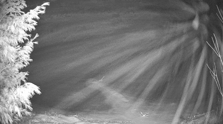 Image from 2024-12-09