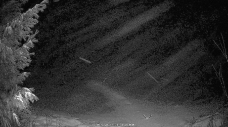 Image from 2024-12-09