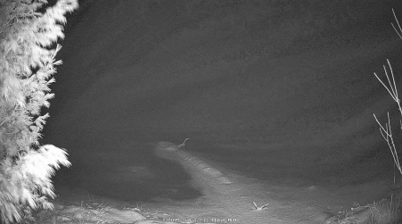 Image from 2024-12-09