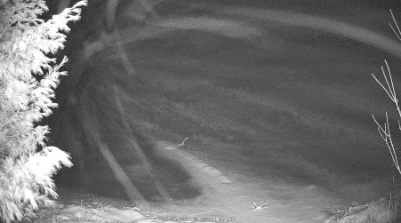Image from 2024-12-09