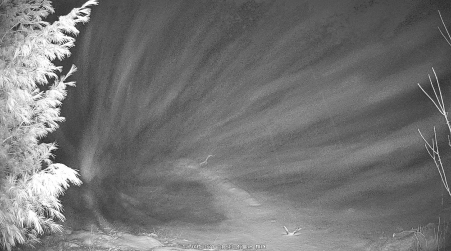 Image from 2024-12-09