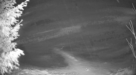 Image from 2024-12-09