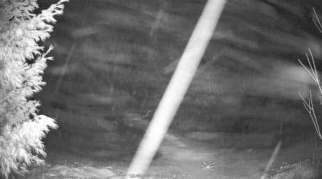 Image from 2024-12-09