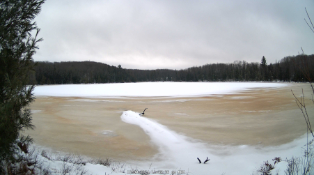 Image from 2024-12-09