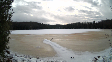 Image from 2024-12-09
