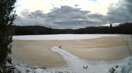 Image from 2024-12-09