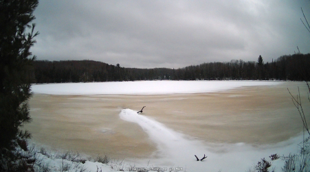 Image from 2024-12-09