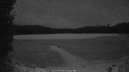 Image from 2024-12-09