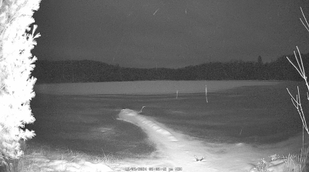 Image from 2024-12-09