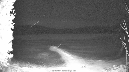 Image from 2024-12-09