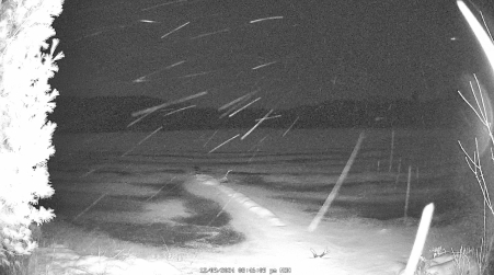 Image from 2024-12-09