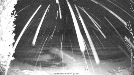 Image from 2024-12-09