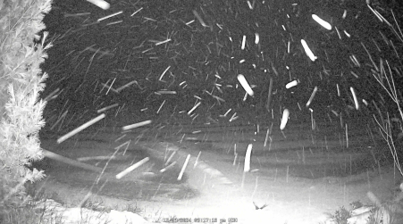 Image from 2024-12-09
