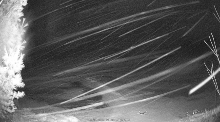 Image from 2024-12-09