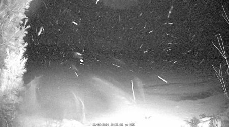 Image from 2024-12-09