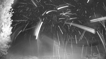 Image from 2024-12-09