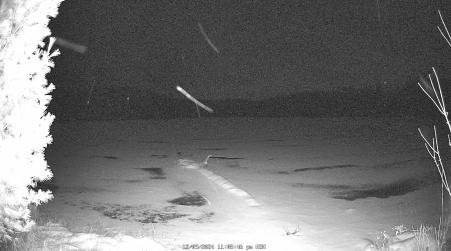 Image from 2024-12-09