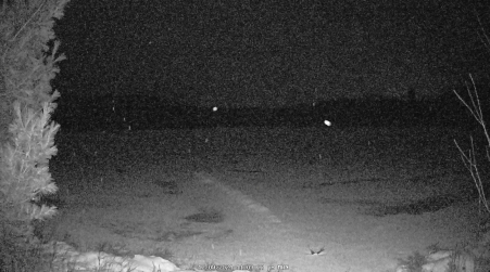 Image from 2024-12-09