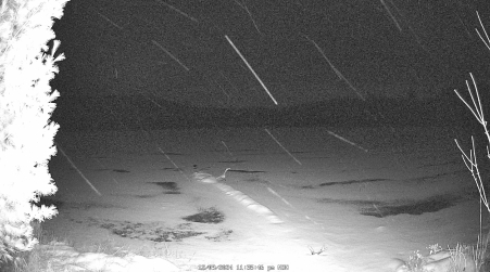 Image from 2024-12-09