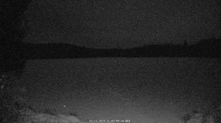 Image from 2024-12-11