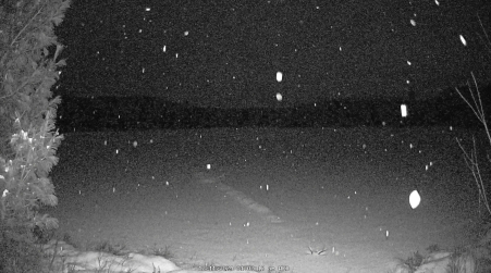 Image from 2024-12-11