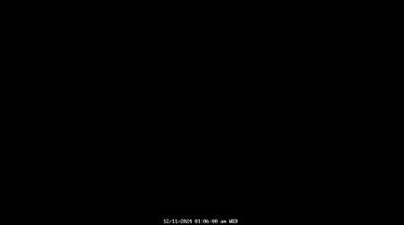 Image from 2024-12-11