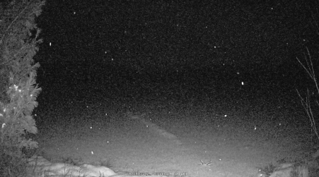 Image from 2024-12-11