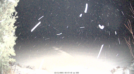 Image from 2024-12-11