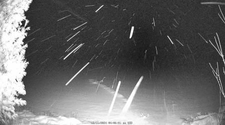 Image from 2024-12-11